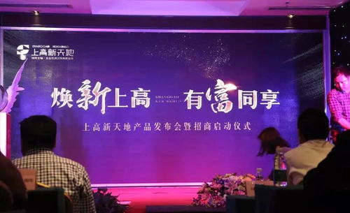 上高人歡呼，見證信息咨詢的奇跡時刻